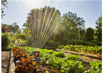 Arroseur oscillant AquaZoom compact- Gardena