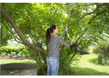 Coupe-branches EnergyCut 600 B- Gardena