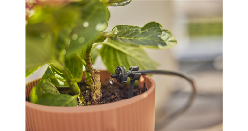 Kit d'initiation pour balcon- jusqu'à 15 plantes