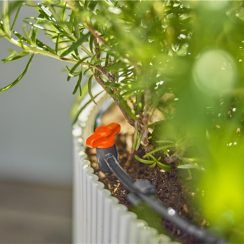 Kit d'initiation pour balcon- jusqu'à 15 plantes