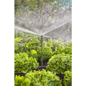 Kit d'initiation pour potagers jusqu'à 60 m2
