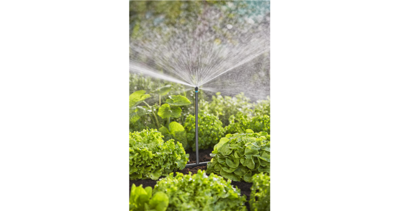 Kit d'initiation pour potagers jusqu'à 60 m2