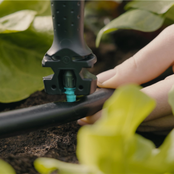 Kit d'initiation pour potagers jusqu'à 60 m2