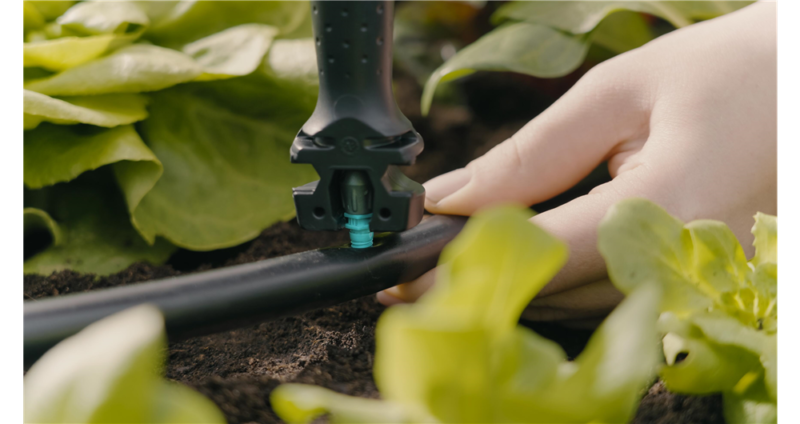 Kit d'initiation pour potagers jusqu'à 60 m2