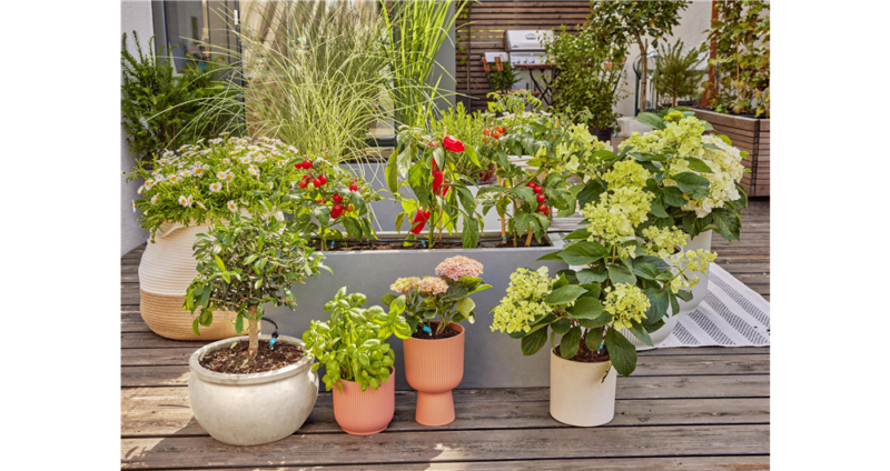 Kit d'initiation pour terrasse jusqu'à 30 plantes