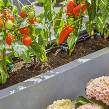 Kit d'initiation pour terrasse jusqu'à 30 plantes