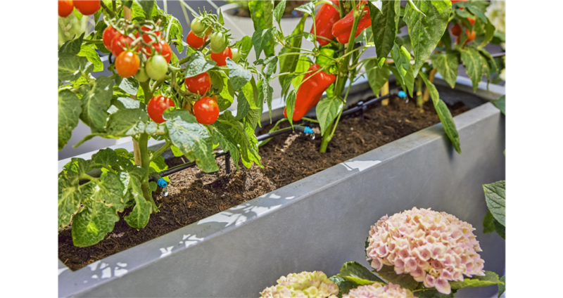 Kit d'initiation pour terrasse jusqu'à 30 plantes