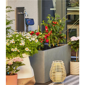 Kit d'initiation pour terrasse jusqu'à 30 plantes