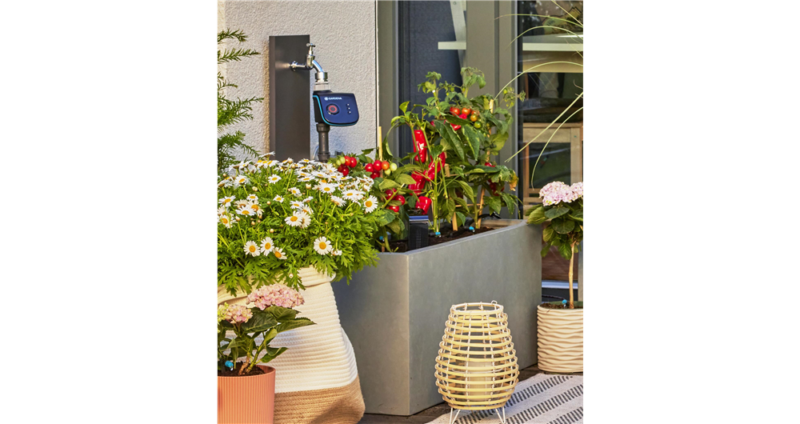 Kit d'initiation pour terrasse jusqu'à 30 plantes