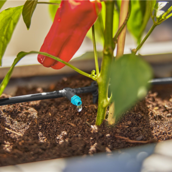 Kit d'initiation pour terrasse jusqu'à 30 plantes