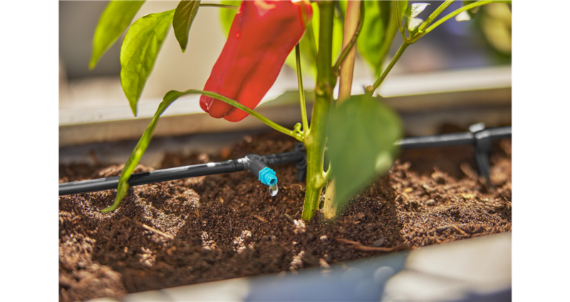 Kit d'initiation pour terrasse jusqu'à 30 plantes