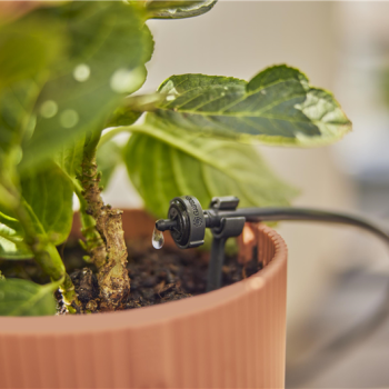 Kit d'initiation pour balcon- jusqu'à 15 plantes