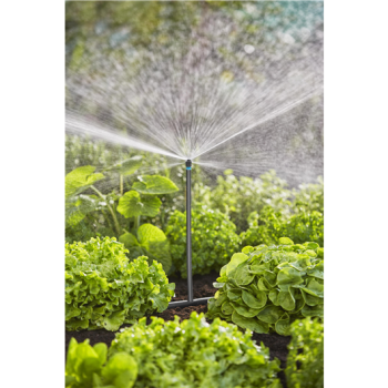 Kit d'initiation pour potagers jusqu'à 60 m2