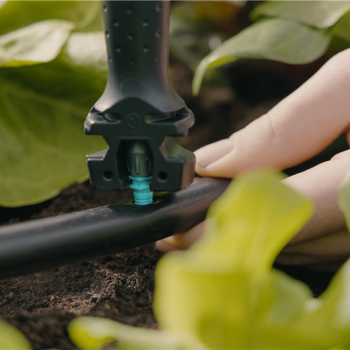 Kit d'initiation pour potagers jusqu'à 60 m2