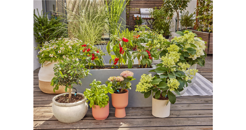 Kit d'initiation pour terrasse jusqu'à 30 plantes
