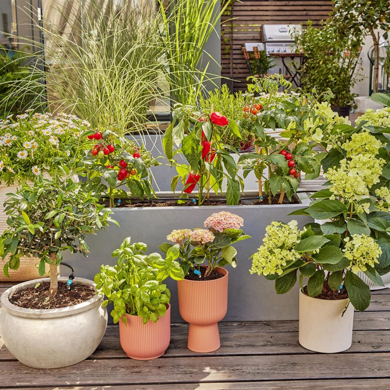 Kit d'initiation pour terrasse jusqu'à 30 plantes