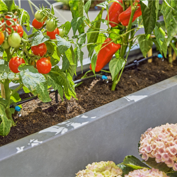 Kit d'initiation pour terrasse jusqu'à 30 plantes