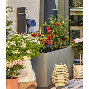 Kit d'initiation pour terrasse jusqu'à 30 plantes