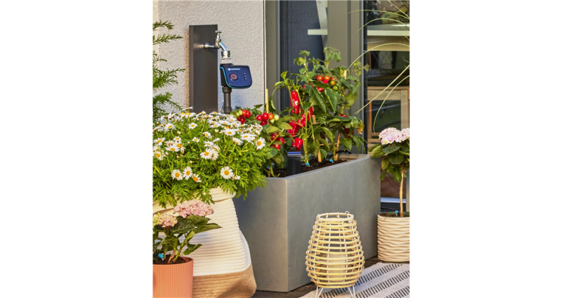 Kit d'initiation pour terrasse jusqu'à 30 plantes