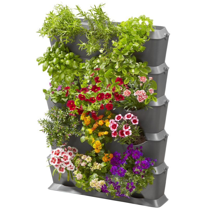 Kit mur végétal NatureUp ! avec arrosage intégré