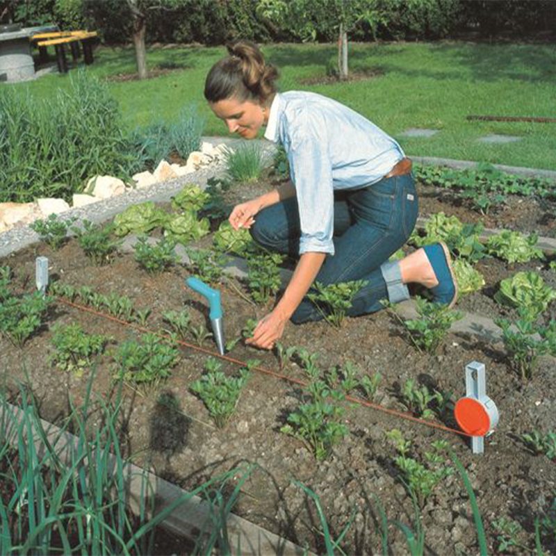 Plantoir
